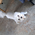 Profile picture of the user