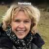Profile picture of the owner