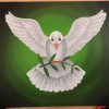 Profile picture of the owner