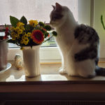 Profile picture of the user