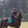 Profile picture of the owner