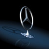 Profile picture of the owner
