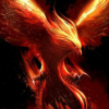 Profile picture of the owner