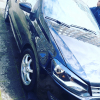 Profile picture of the owner