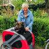 Profile picture of the owner