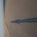 Profile picture of the user