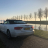 Profile picture of the owner