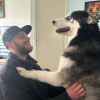 Profile picture of the owner