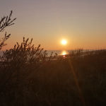 Profile picture of the user