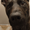 Profile picture of the owner