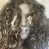 Profile picture of the owner