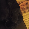 Profile picture of the owner